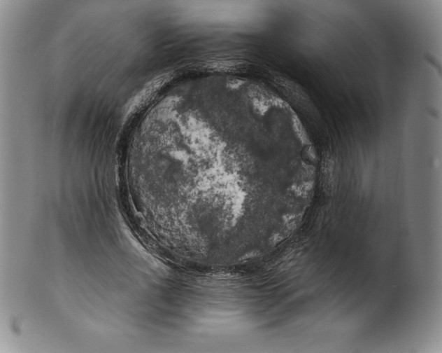 X0000100490734200806271236