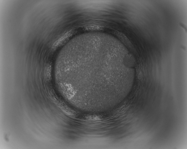 X0000100490735200806271236