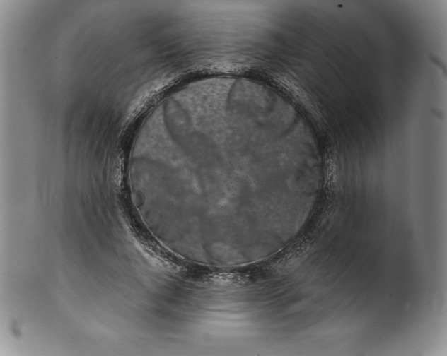 X0000100490736200806271236