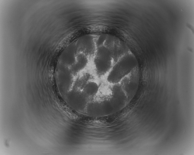 X0000100490737200806271236