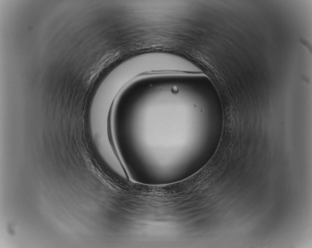 X0000100490738200806271236