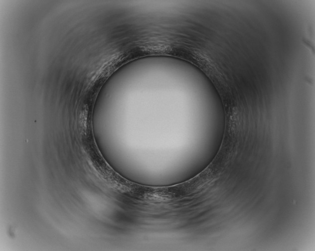 X0000100490739200806271236