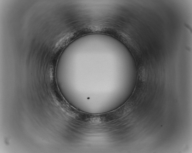 X0000100490740200806271236