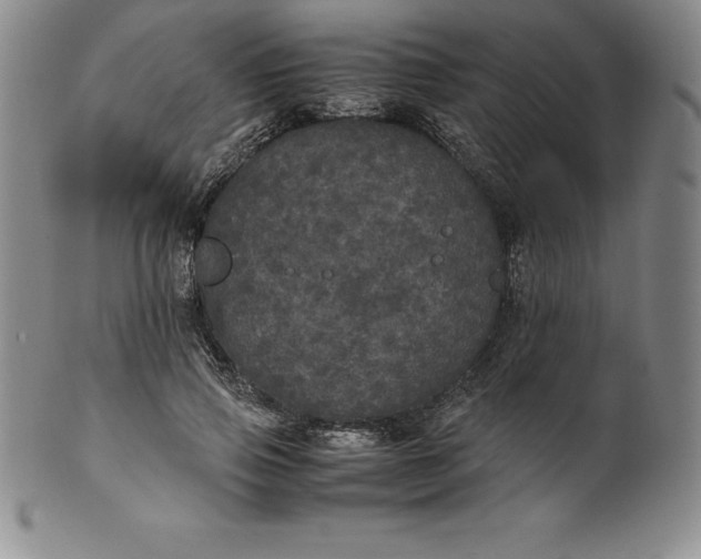 X0000100490741200806271236