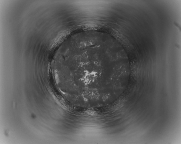 X0000100490742200806271236