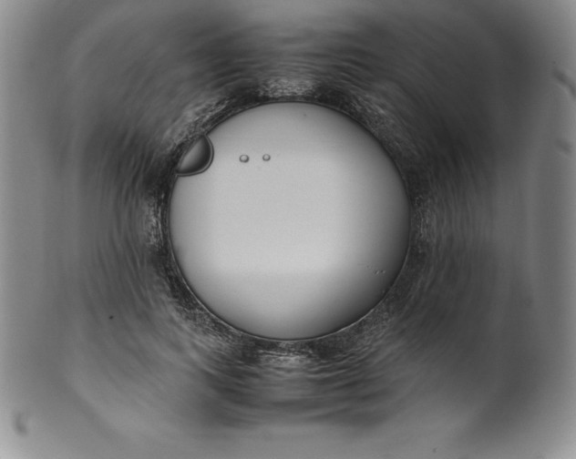 X0000100490743200806271236