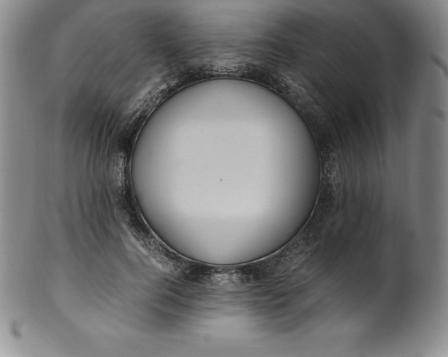 X0000100490744200806271236