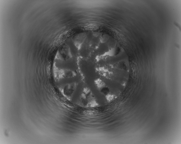 X0000100490745200806271236