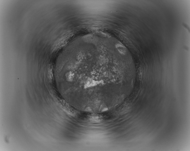 X0000100490746200806271236