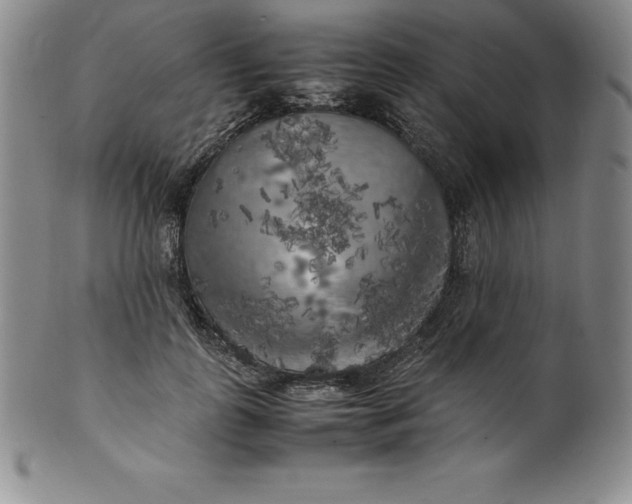 X0000100490747200806271236