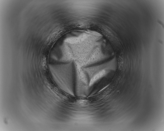 X0000100490748200806271236