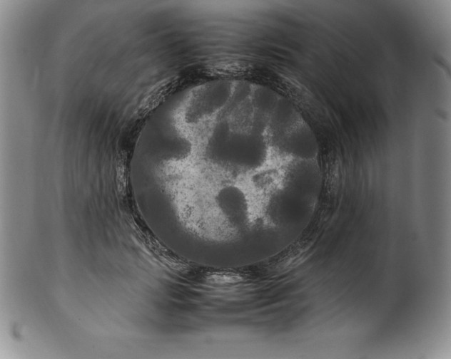 X0000100490749200806271236