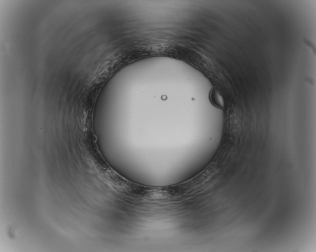 X0000100490750200806271236