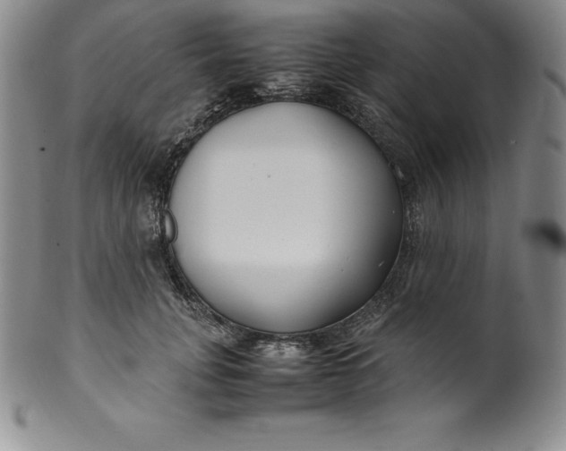 X0000100490751200806271236