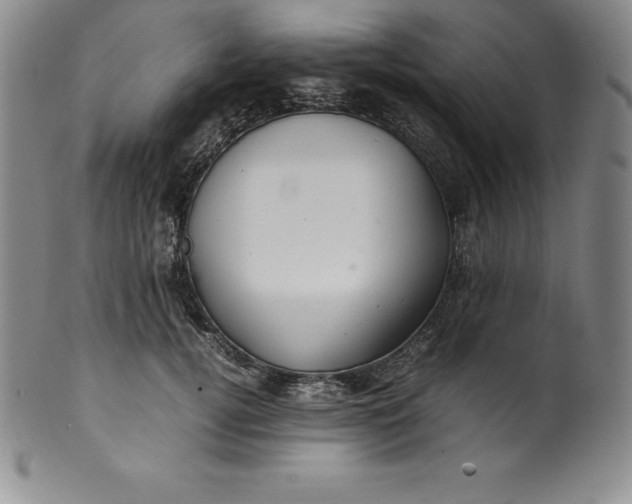 X0000100490752200806271236