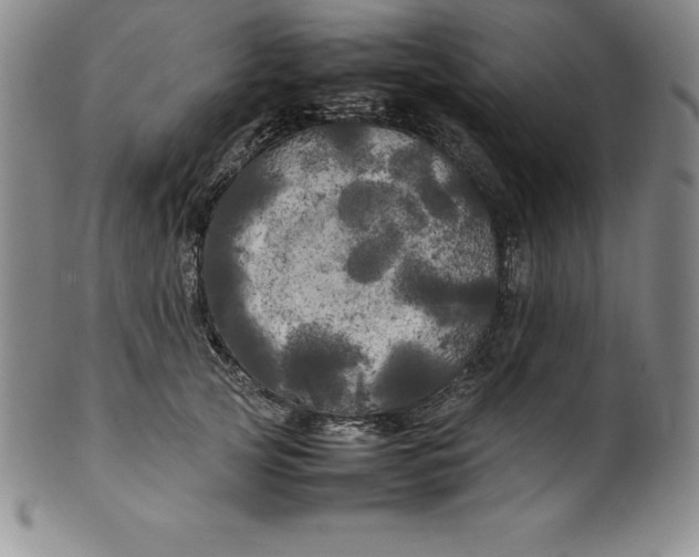 X0000100490753200806271236