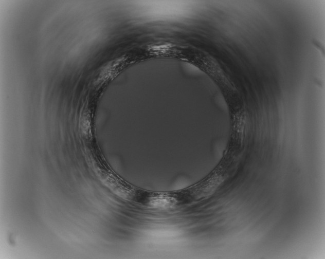 X0000100490754200806271236