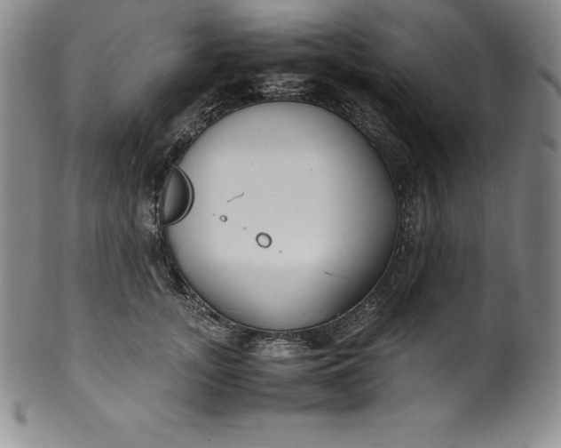 X0000100490755200806271236