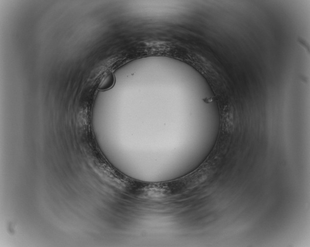 X0000100490756200806271236