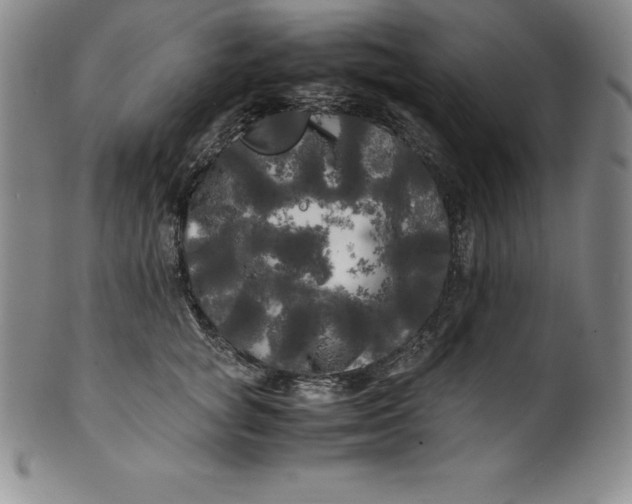 X0000100490757200806271236