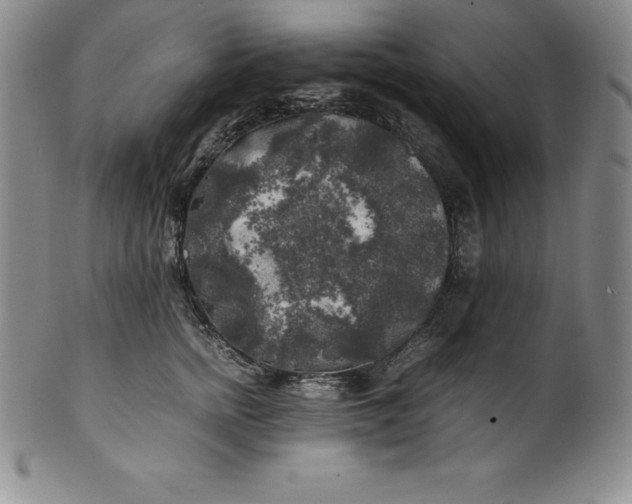 X0000100490758200806271236