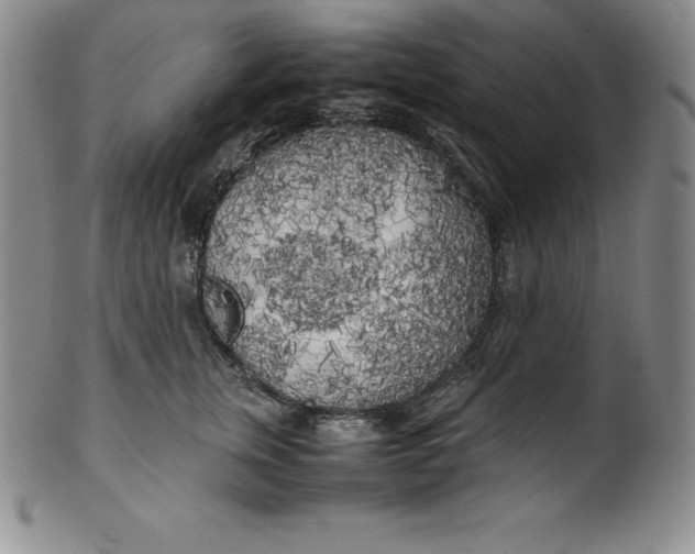 X0000100490759200806271236