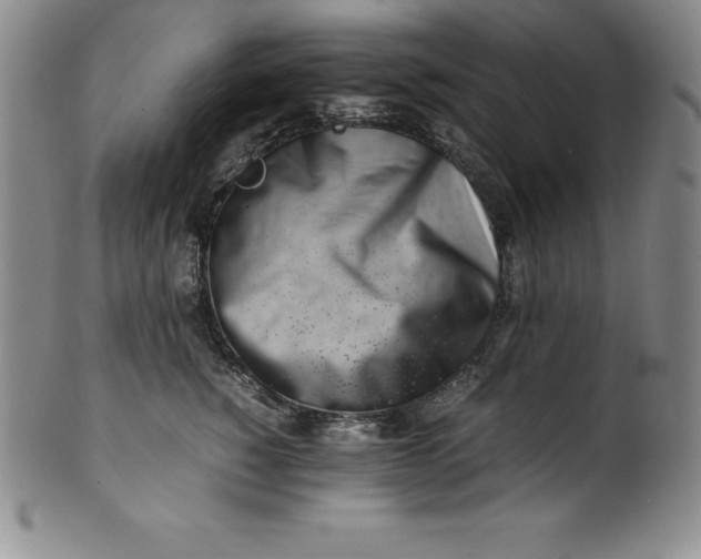 X0000100490760200806271236