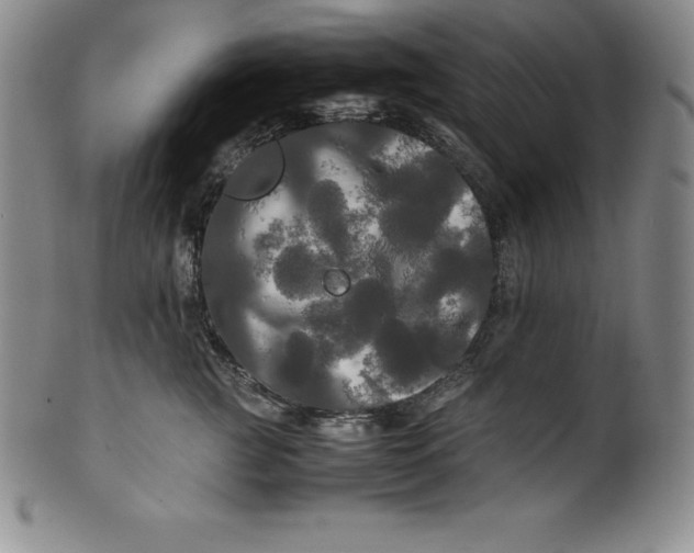 X0000100490761200806271236