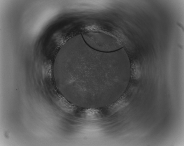 X0000100490762200806271236