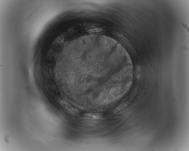 X0000100490763200806271236