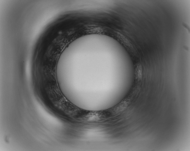 X0000100490764200806271236