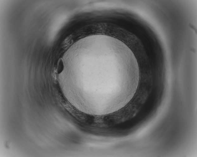 X0000100490766200806271236