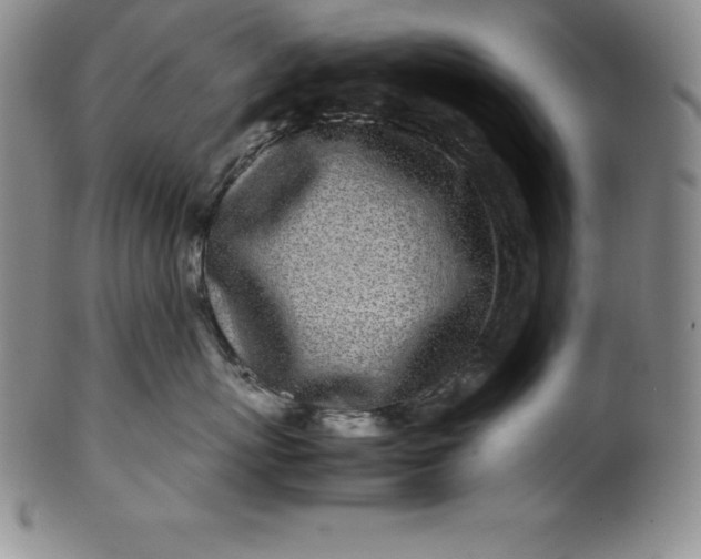 X0000100490767200806271236