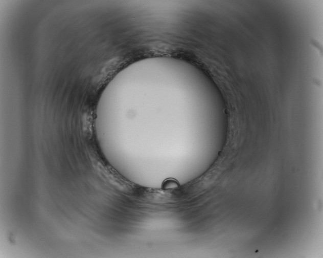 X0000100490768200806271236