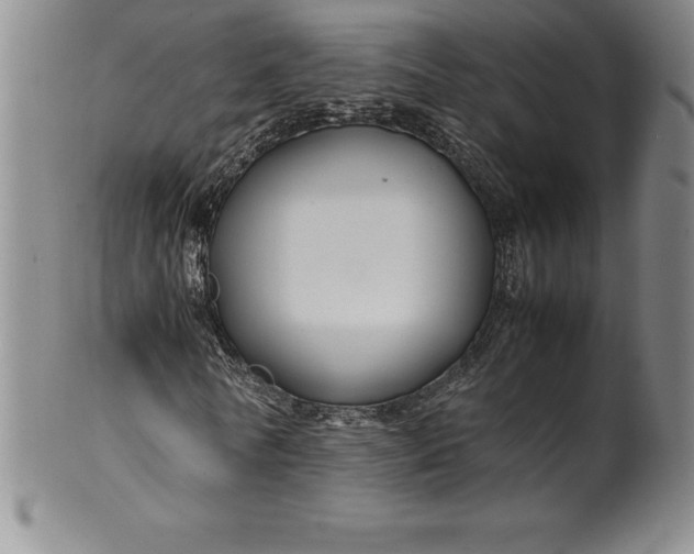 X0000100490770200806271236