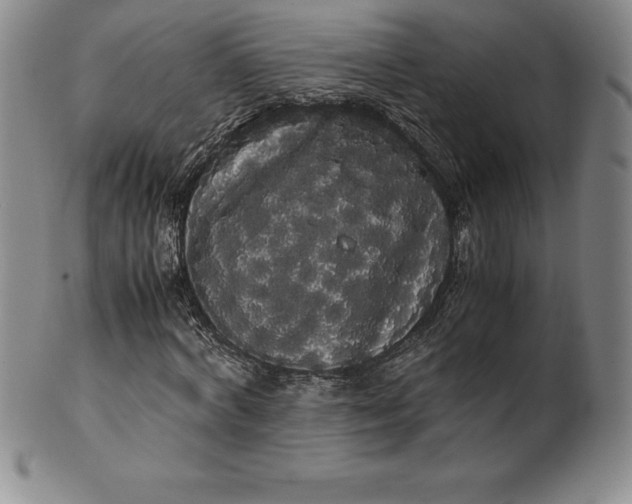 X0000100490772200806271236