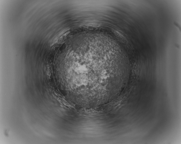 X0000100490774200806271236