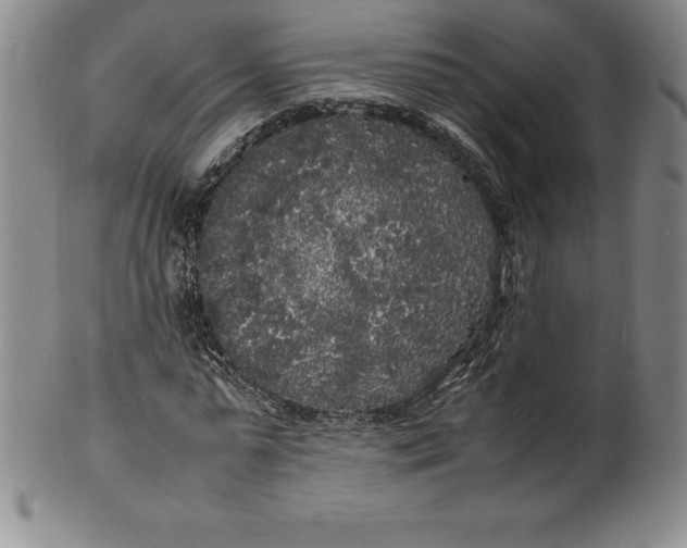 X0000100490775200806271236