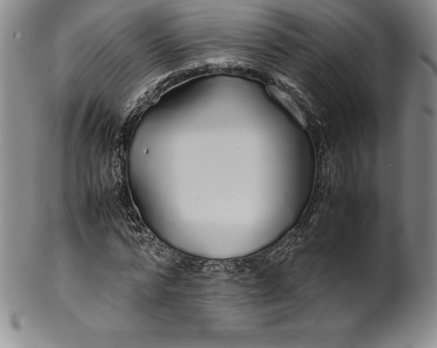 X0000100490776200806271236