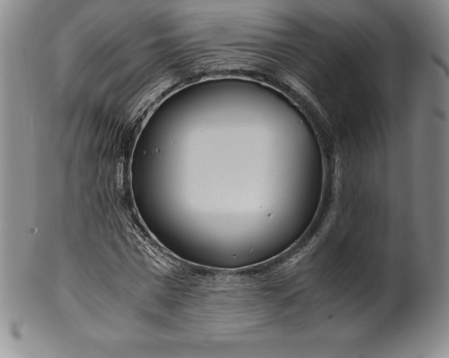 X0000100490777200806271236