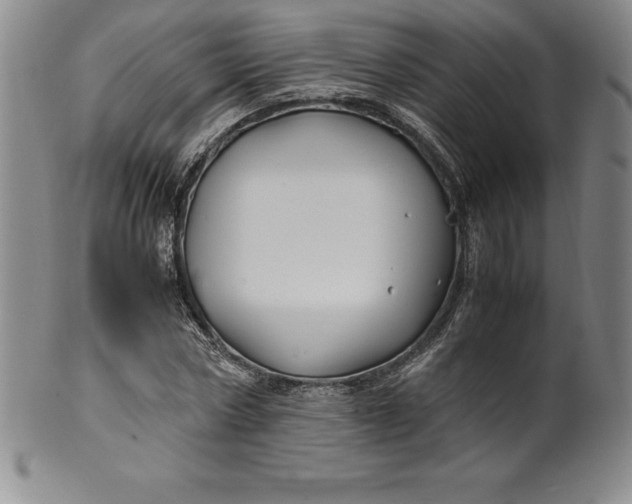 X0000100490778200806271236