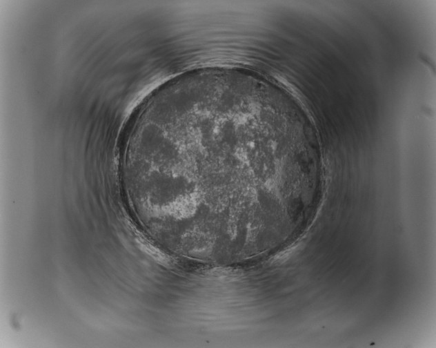 X0000100490779200806271236