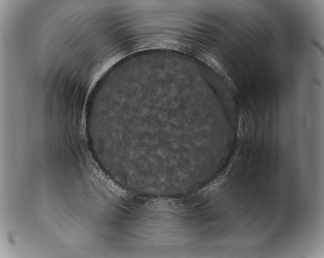 X0000100490780200806271235