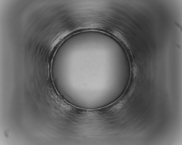 X0000100490781200806271235