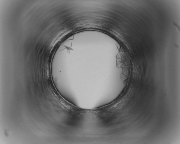 X0000100490782200806271235