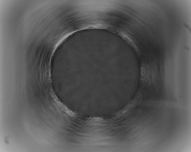 X0000100490784200806271235