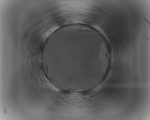 X0000100490785200806271235