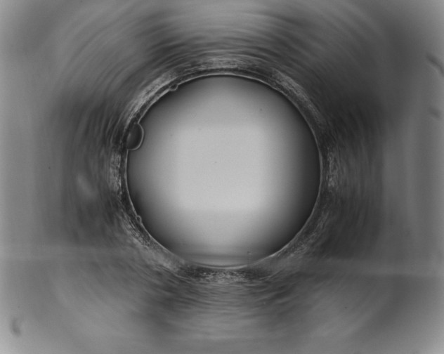 X0000100490786200806271235