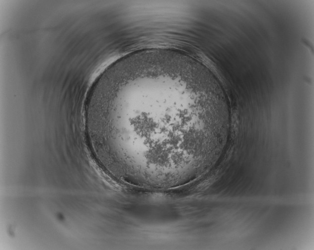 X0000100490787200806271235