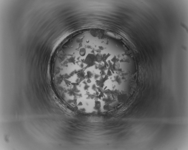 X0000100490788200806271235